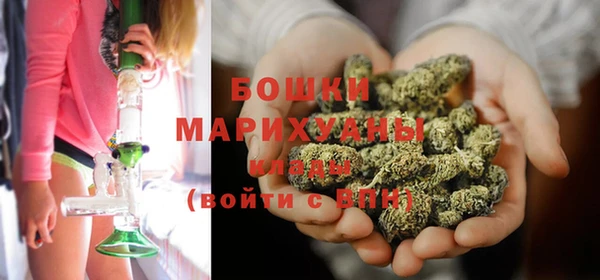 сатива Абинск