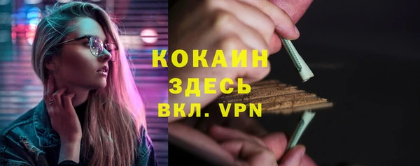 сатива Абинск