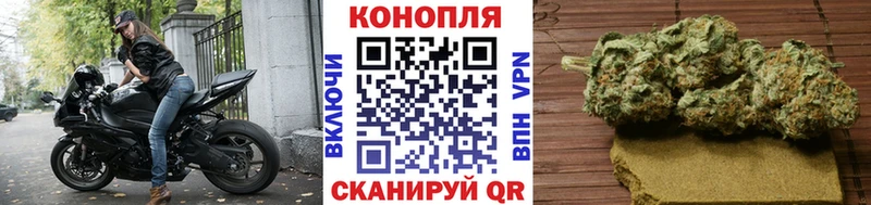 kraken tor  где купить   Химки  МАРИХУАНА индика 